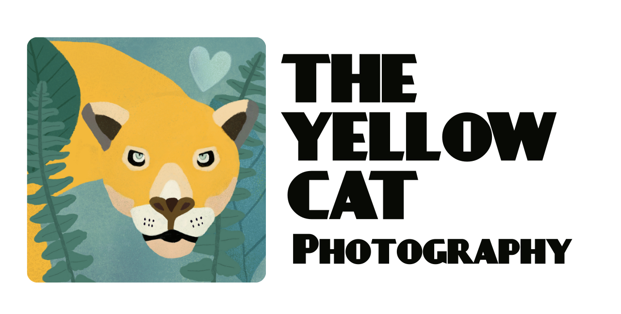 The Yellow Cat Photography Logo against Tropical foliage